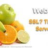 SSL, TLS, HTTPS - Einführung in die Welt der Server-Zertifikate