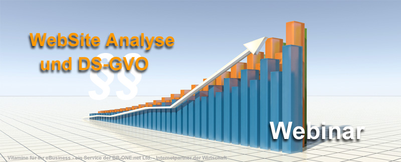 Webinar zum Thema WebSite Analyse-Software Matomo in der DS-GVO