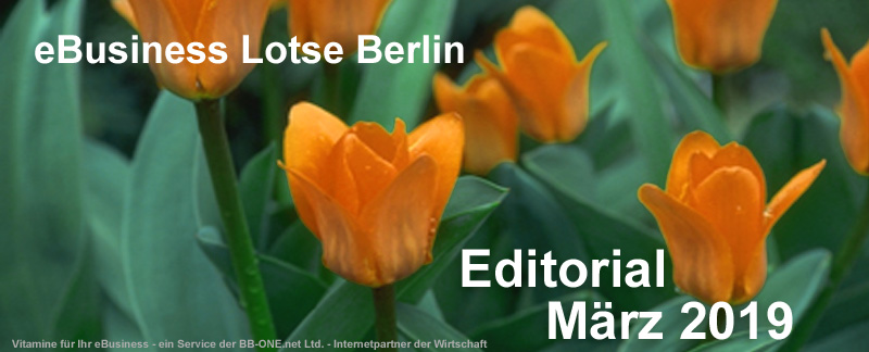 Editorial des eBusiness Lotsen Berlin März 2019: Wissen über Domain Services, SEO und WordPress Pflege