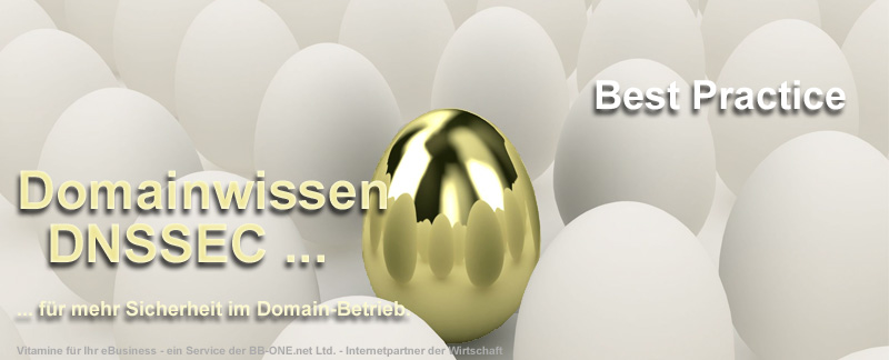 DNSSEC - der Sicherheitsdienst im Domain-Betrieb