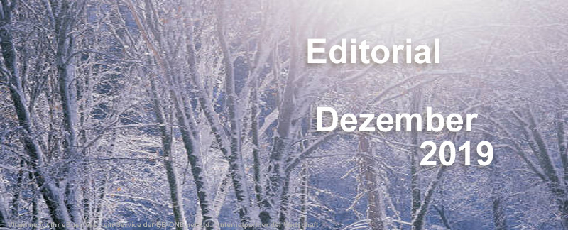 Editorial des eBusiness Lotsen Berlin Dezember 2019