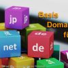 Webcast Domainwissen und DNS-Verwaltung