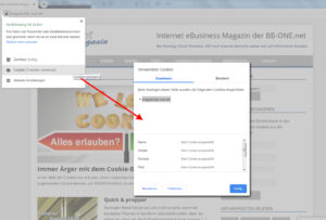 Cookie Einstellungen bei Browser Google Chorme