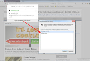Cookie Einstellungen bei bei Browser Mozilla Firefox
