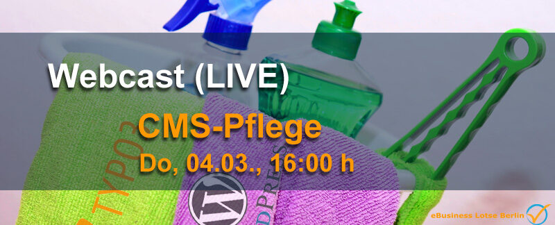 LIVE-Webcast Standards und Methoden der CMS-Pflege